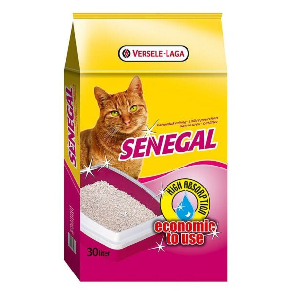Kissanhiekka_Senegal