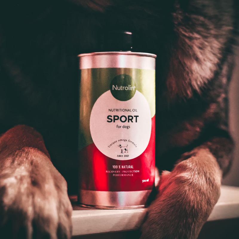 RAVINTOLISÄT JA ÖLJYT