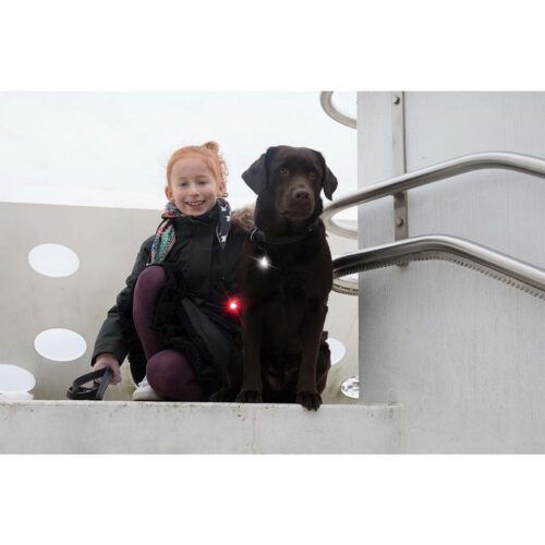 ORBILOC_DUAL_TURVAVALO_TWIN_PACK