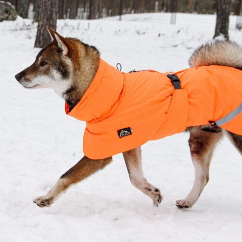 KIVALO_KOIRAN_TAKKI_OHTO