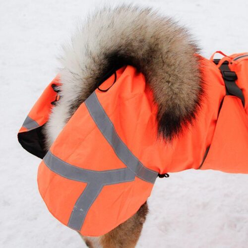 KIVALO_KOIRAN_TAKKI_OHTO