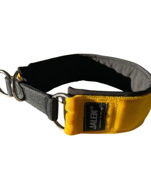 JALEN_Puolikuristava_kaulapanta_softshell-pehmusteella_50_mm_45-55_cm