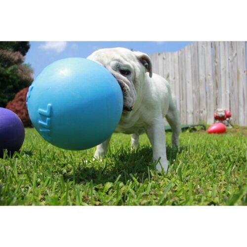 KOIRANLELU_JOLLY_BALL_TUG_N_TOSS__KOIRILLE