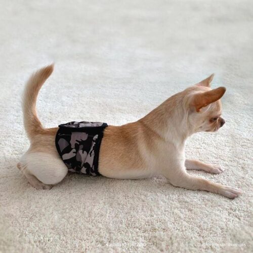 FINNERO_JUSTINCASE_UROSVYO