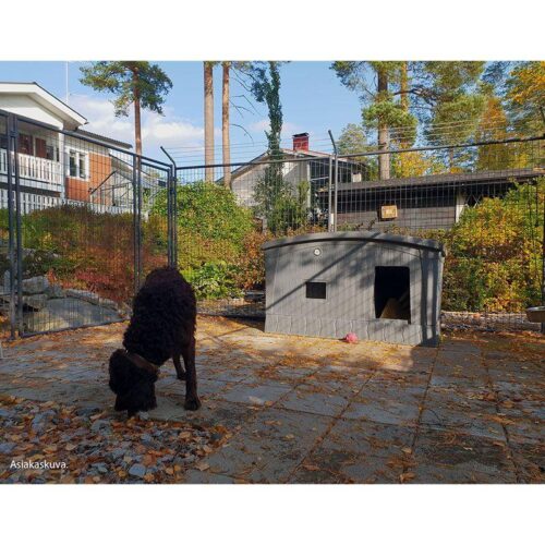 JAMPTI_LAMPOERISTETTY_KOIRANKOPPI__HARMAA