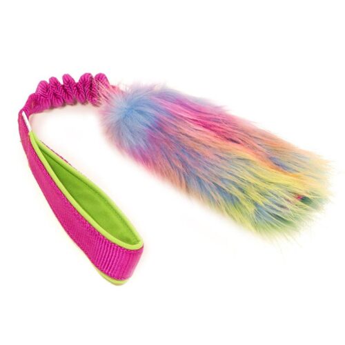 Zayma_Rainbow_Littea_patukka_joustolla