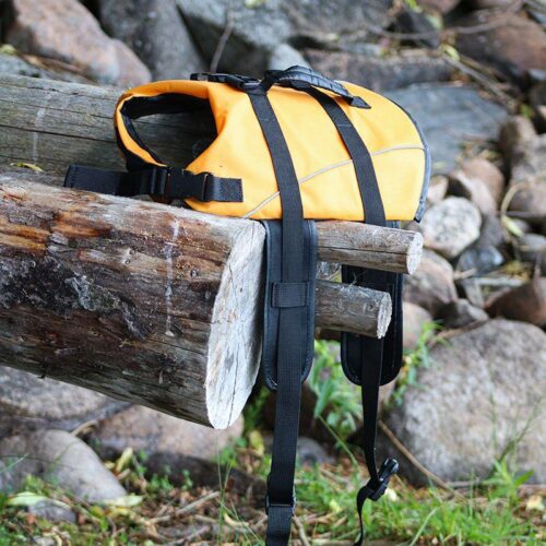 BOOGIE_KOIRAN_PELASTUSLIIVI_TYRSKY