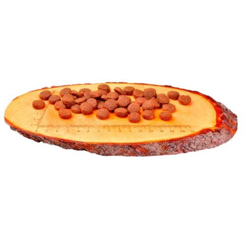 CARNILOVE__ADULT__ANKKA___FASAANI