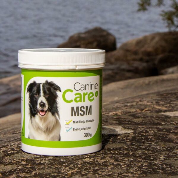 CANINECARE_MSM__300_G