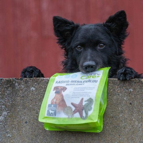 CANINECARE_KASVIS_MERILEVALUU__MERIELAIMET_S_koko