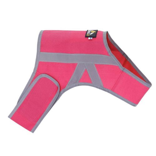 KIVALO_KOIRAN_HEIJASTINLIIVI_KAAMOS