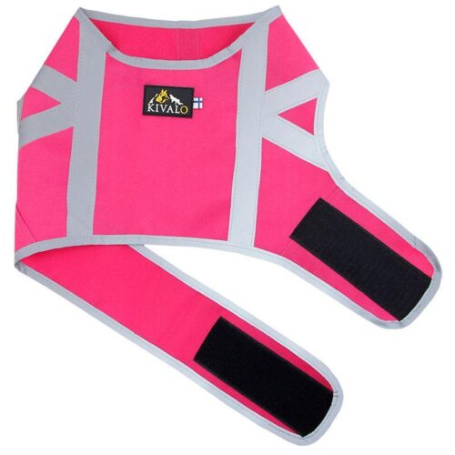 KIVALO_KOIRAN_HEIJASTINLIIVI_KAAMOS