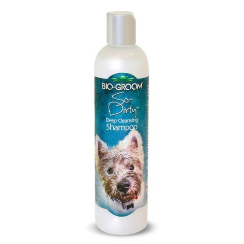BIO-GROOM_SO_DIRTY_SHAMPOO