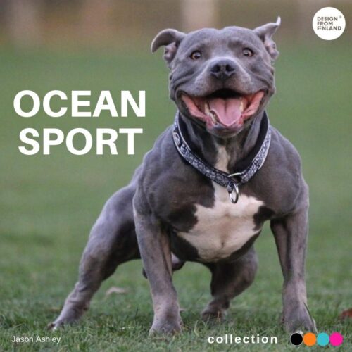 FINNERO_OCEAN_SPORT_PANTA_KOIRALLE___MUSTA