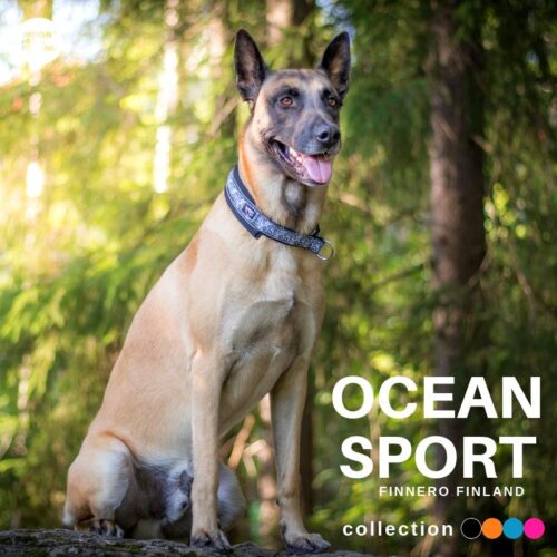 FINNERO_OCEAN_SPORT_PANTA_KOIRALLE___MUSTA