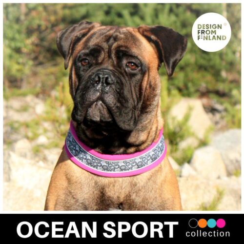 FINNERO_OCEAN_SPORT_PANTA_KOIRALLE___FUKSIA