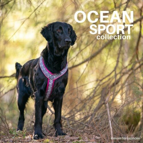 FINNERO_OCEAN_SPORT_Y_valjas_koiralle_FUKSIA