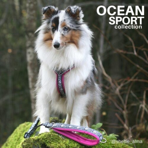 FINNERO_OCEAN_SPORT_Y_valjas_koiralle_FUKSIA