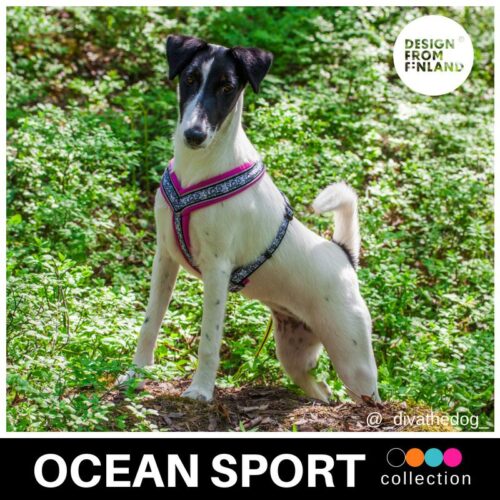 FINNERO_OCEAN_SPORT_Y_valjas_koiralle_FUKSIA
