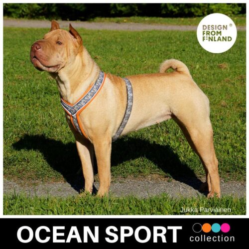 FINNERO_OCEAN_SPORT_Y_valjas_koiralle_ORANSSI