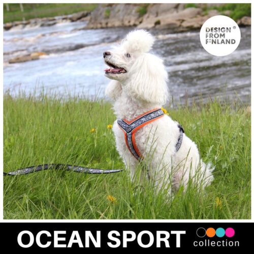 FINNERO_OCEAN_SPORT_Y_valjas_koiralle_ORANSSI