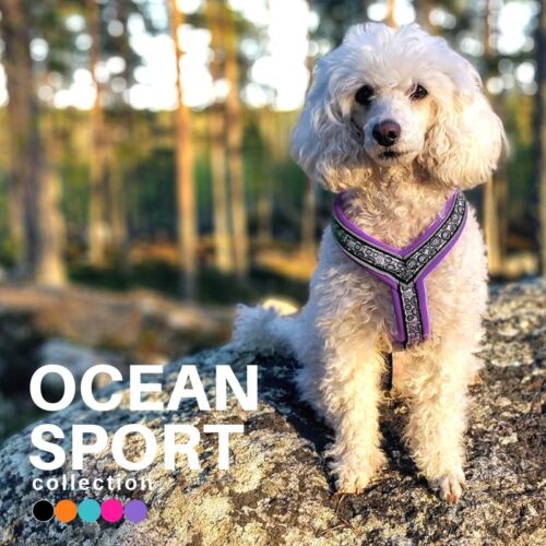 FINNERO_OCEAN_SPORT_Y_valjas_koiralle_VIOLETTI