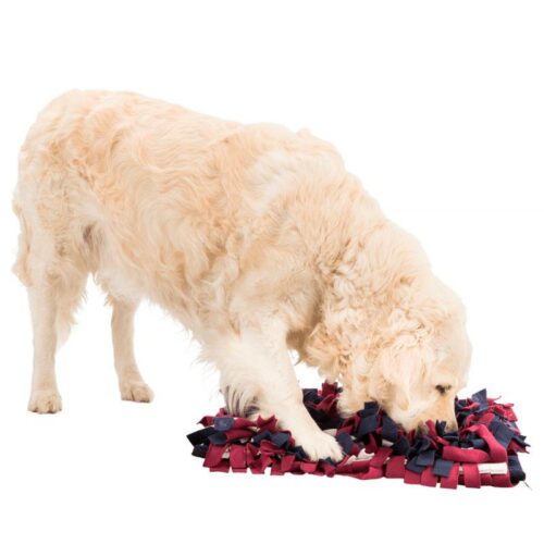 TRIXIE_DOG_ACTIVITY_AKTIVOINTIMATTO_LEMMIKILLE