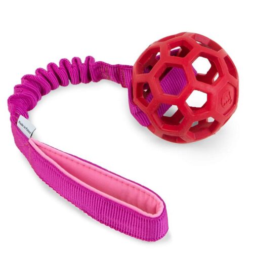 JW_Pet_Hol-EE_Roller_Vetolelu_joustavalla_kahvalla_XS