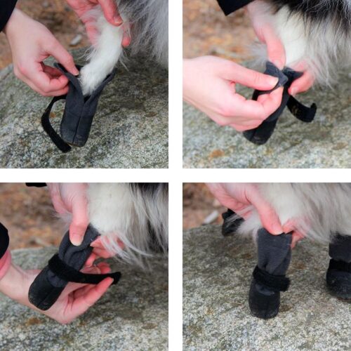 KIVALO_KOIRAN_TOSSU__POLKU_2_KPL___PKT