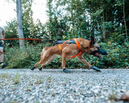 FREEMOTION_5_0_VETOVALJAS__Oranssi_Musta