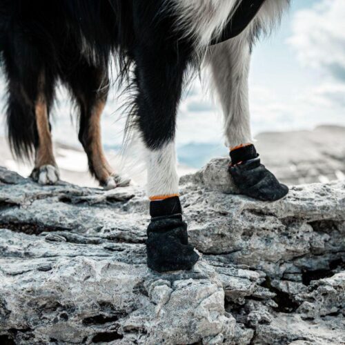 PROTECTOR_BOOTIE___koiran_tossut