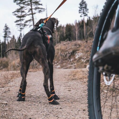 PROTECTOR_BOOTIE___koiran_tossut