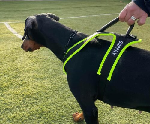 GAPPAY_PENTUVALJAS_iso