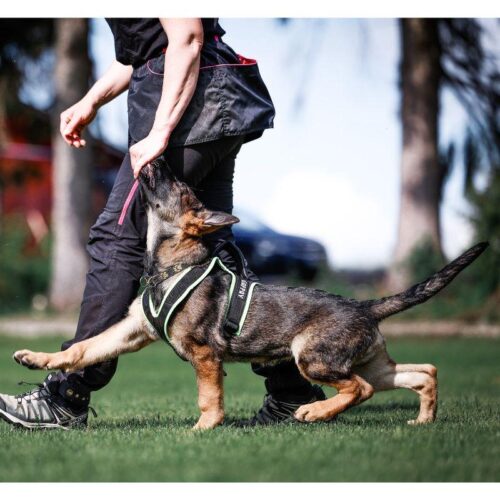 GAPPAY_PENTUVALJAS_iso