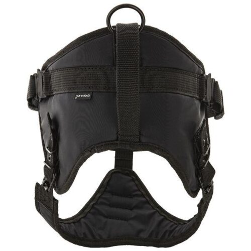 Gappay_REX_2_suojeluvaljas