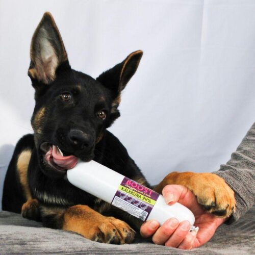 BOOST_Lihaisa_treenimakkara_KALKKUNA_400g