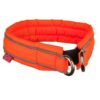 Non-Stop_dogwear_Safe_Collar_kaulapanta
