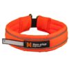 SAFE_COLLAR_KAULAPANTA