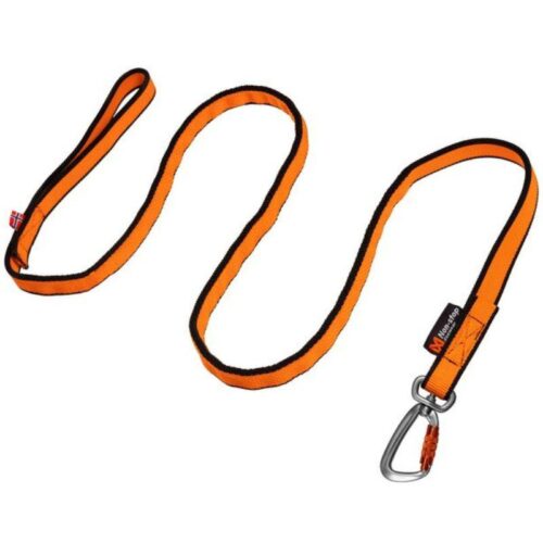 Bungee_leash_-_vetonaru