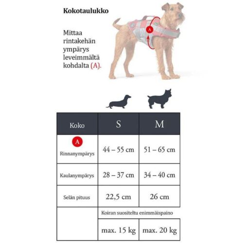 HUNTER_KOIRAN_PELASTUSLIIVI