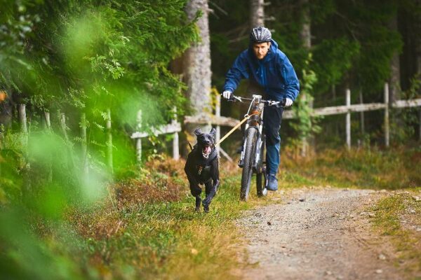 KLICKFIX_BIKE_ANTENNA___vetoadapteri_koirapyorailyyn