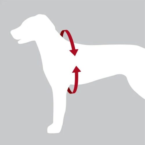 KOIRAN_TURVAVYOVALJAS