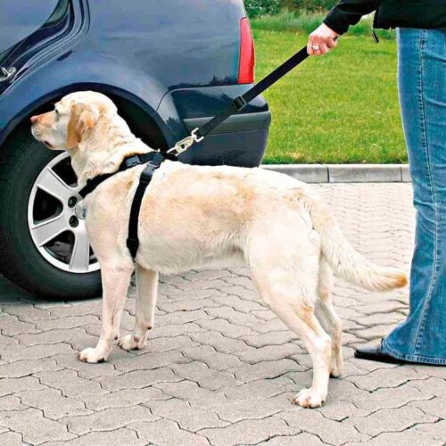 KOIRAN_TURVAVYOVALJAS