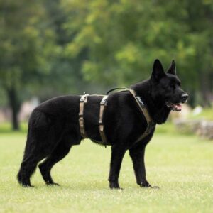 Non-Stop_LINE_HARNESS_GRIP_LONG_Working_Dog