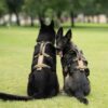 Non_Stop_LINE_HARNESS_GRIP_LONG_Working_Dog