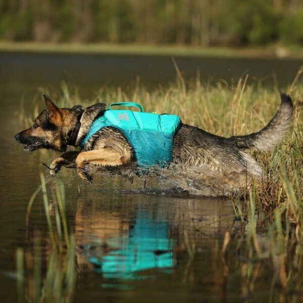 PROTECTOR_LIFE_JACKET-_KOIRAN_PELASTUSLIIVIT__Teal