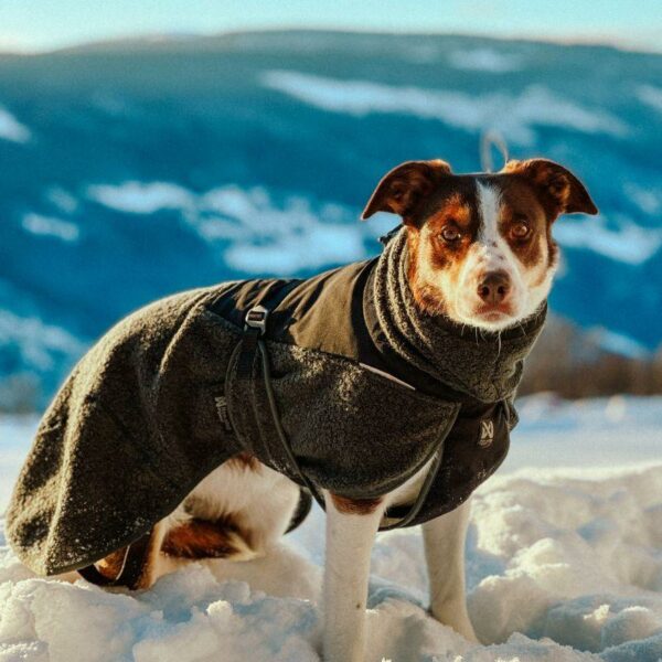 NON_STOP_Wool_Dog_Jacket_koiran_takki