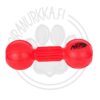 Nerf_dog_Retriever_purulelu_koiralle