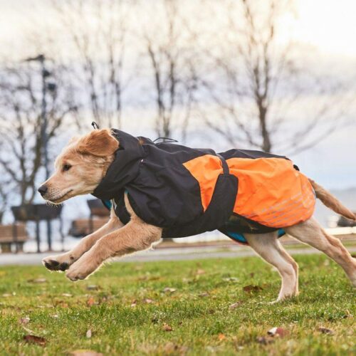 NON_STOP_Glacier_jacket_2_0_koirantakki_oranssi