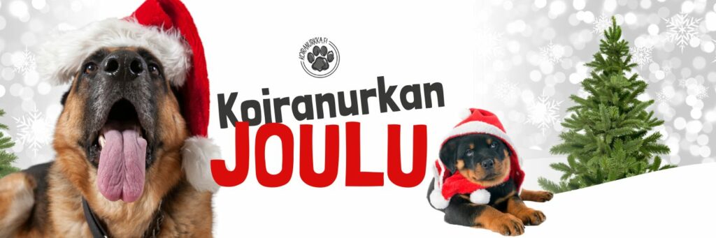 Koiranurkka